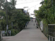 livingston2.jpg