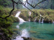 semuc3.jpg