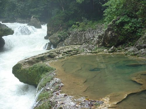semuc1.jpg